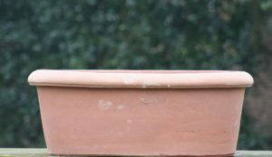 Terracotta pot Poggi Ugo, Casetta da Calzolai 78
