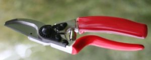 Felco 10