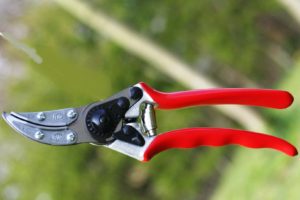 Felco 100