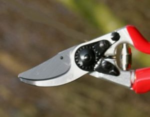 Felco 7