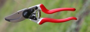 Felco 8
