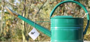 Gieter met broes, 5 liter