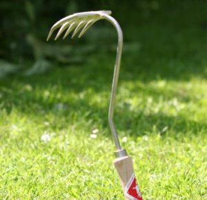 Handharkje, beuken heft