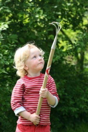 Kindercultivator