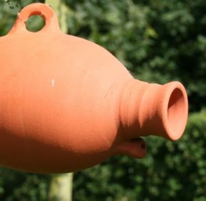 Spreeuwenpot in terracotta
