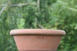 Terracotta Poggi Ugo, Catino, 35 centimeter