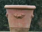 Terracotta Poggi Ugo, Vaso Camelia Con Frutta