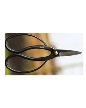 Bonsaischaar, 18 cm