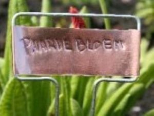 Plantlabel, koper, 13 cm