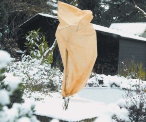 Wintervlies voor jonge bomen
