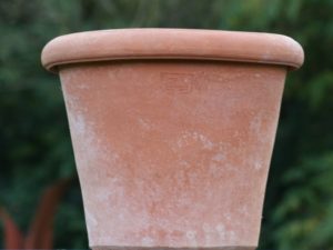 Terracotta pot Poggi Ugo, Vaso Camelia 60