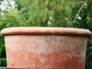 Terracotta pot Poggi Ugo, Cilindro Basso con Orlo