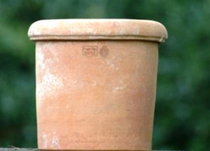 Terracotta pot Poggi Ugo, Vaso Cilindro con Orlo