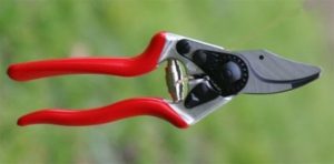 Felco 16