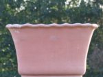 Terracotta Poggi Ugo, Tinozzo Smerlata