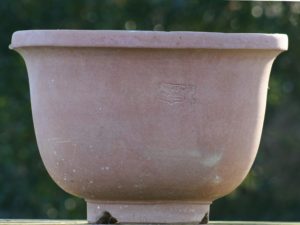 Vaso Cinese